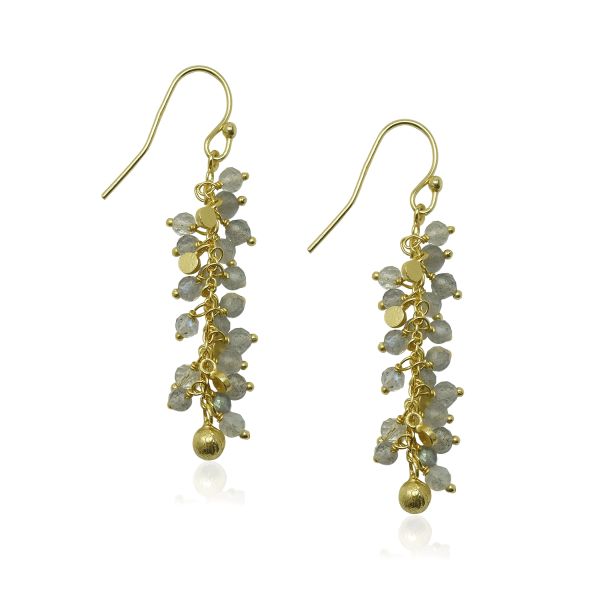 Labradoriet Oorhanger model E5g-047